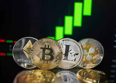 Bitcoin and cryptocurrency investing concept. Bitcoin cryptocurrency coins. Trading on the cryptocurrency exchange. Trends in bitcoin exchange rates. Rise chart of bitcoin and alt coins.