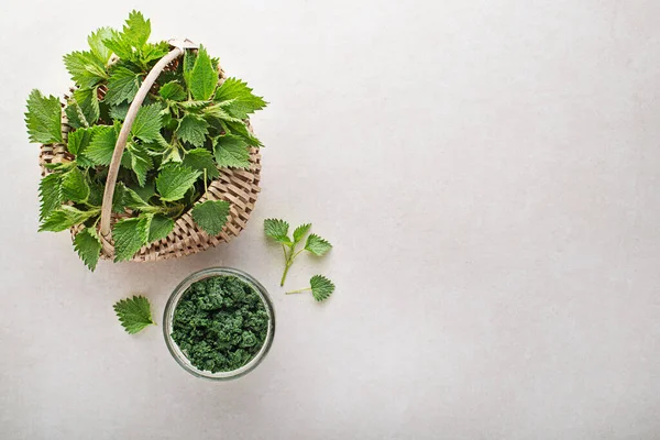 Pesto Urtiga Para Cozinhar Refeição Saudável Fundo Cinza Primavera Alimentos — Fotografia de Stock