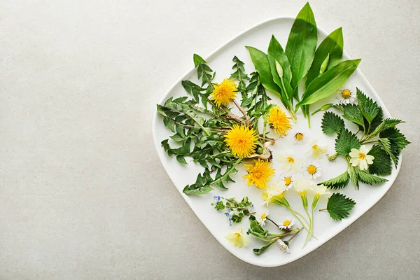 野生大蒜 蒲公英 地面和其他药草以及早春生长的野生食用植物 开着花和草本植物的春天背景 — 图库照片