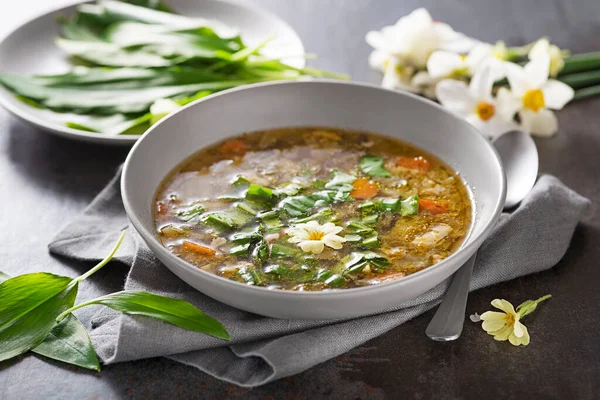 Vegetable Soup Fresh Wild Garlic Leaves Close Soup Seasonal Vegetables — Photo