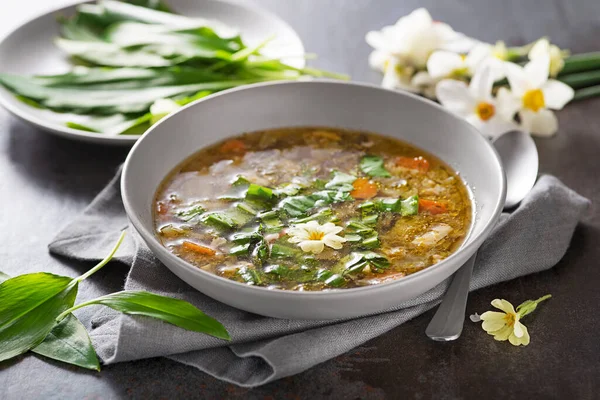 Vegetable Soup Fresh Wild Garlic Leaves Close Soup Seasonal Vegetables — Fotografia de Stock