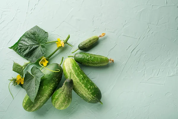 Cucumber Green Texture Background Cucumbers Harvest Summer Cucumbers Salads Canning — Fotografia de Stock