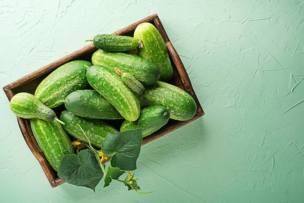 Cucumber Green Texture Background Cucumbers Harvest Summer Cucumbers Salads Canning — Stockfoto