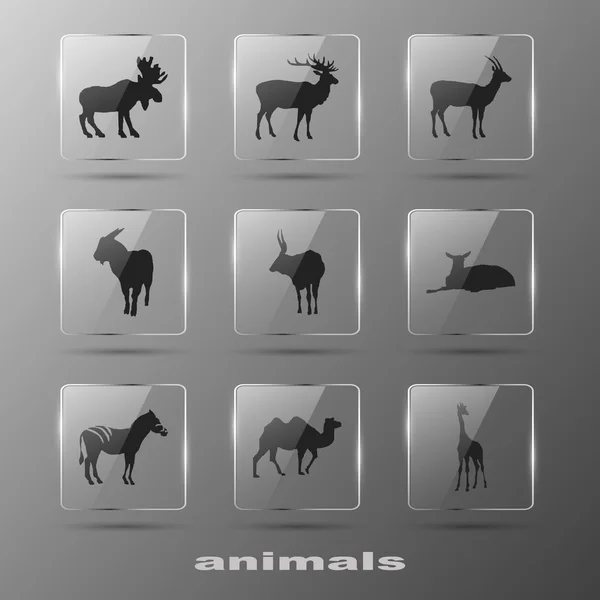 ¡Animal! Conjunto de iconos . — Vector de stock
