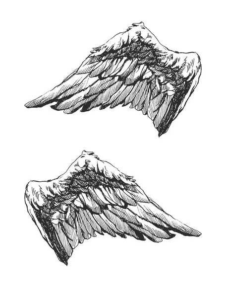 Рука намальовані ангельські крила вектор eps8 — стоковий вектор
