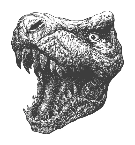 티라 공룡입니다. 손으로 그린입니다. 벡터 eps8 — 스톡 벡터