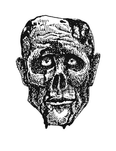 Cabeza de zombie. dibujado a mano. vector eps8 — Vector de stock