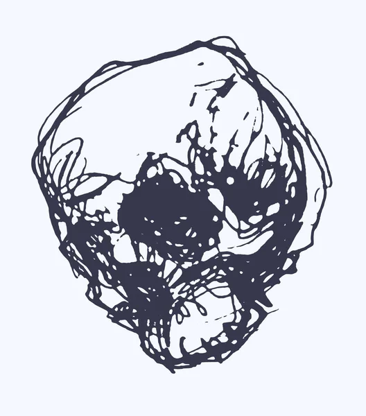 Zombie. Hand drawn vector illustration. — Stock Vector