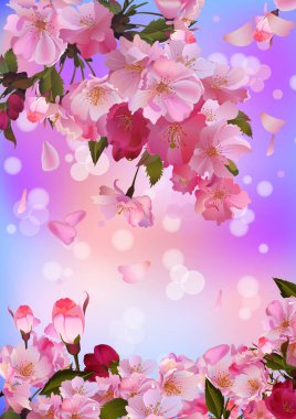 Pembe taçyapraklı çiçek açan sakura dalı. Duvar kâğıdı ve tasarım için yuvarlak bokeh ile güzel pembe arka plan.