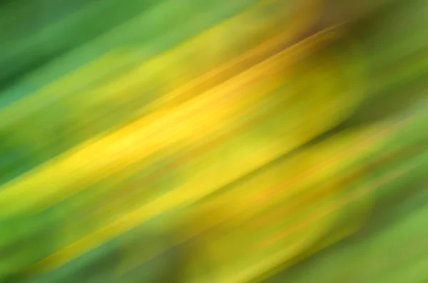 Fundo Papel Parede Para Decoração Design Tons Amarelo Verde Blur — Fotografia de Stock