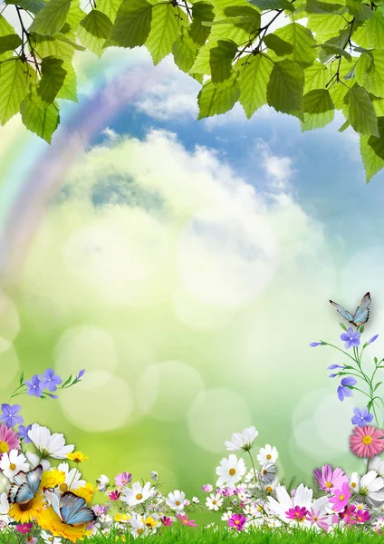 夏日的相框 有精致的花朵 蝴蝶和树叶 映衬着多云的天空和彩虹 — 图库照片