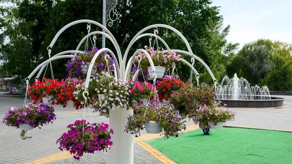 hanging planter with colorful petunias in wooden pots in a city park