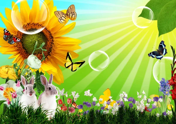 Sunflower Two Hares Background Bright Floral Wallpaper Design Decor — 图库照片