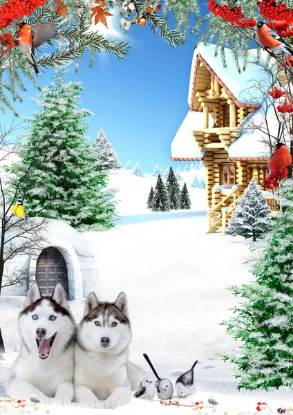 winter wallpaper with a wooden house a husky dog and bullfinches in a winter forest on a background of snow