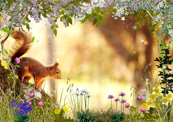 Squirrel Blurred Bokeh Background Beautiful Wild Flowers Wallpaper Design — 图库照片