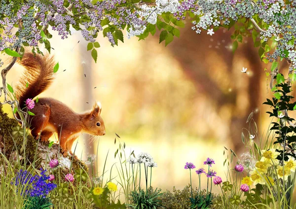 squirrel on blurred bokeh background and beautiful wild flowers wallpaper for design