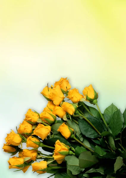 Μπουκέτο Κίτρινα Τριαντάφυλλα Λευκό Κίτρινο Φόντο — Φωτογραφία Αρχείου