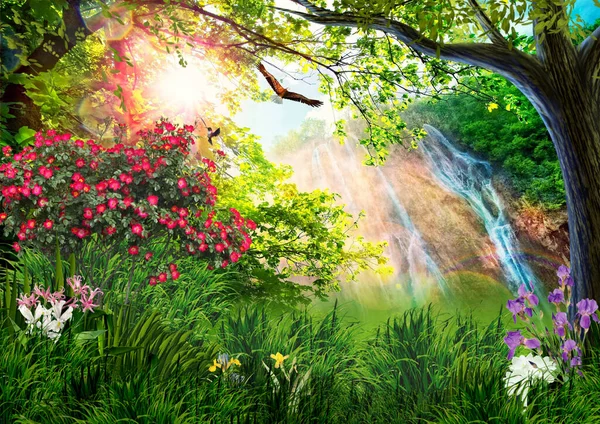 Tropics Waterfall Eagle Background Sun Grass Flowering Trees Wallpaper Decoration — Foto de Stock