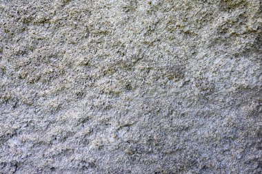 concrete background texture for wallpaper backgrounds and design