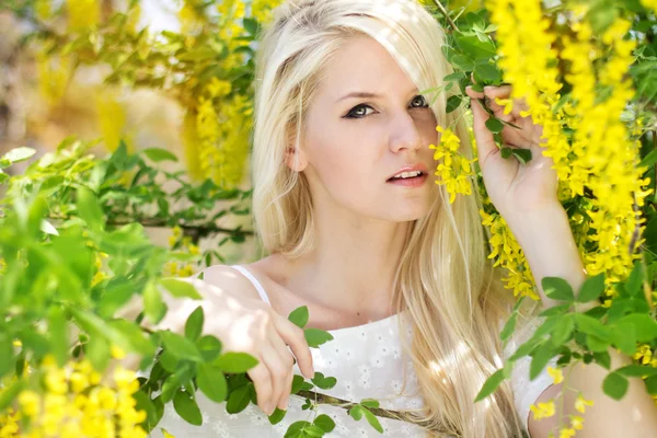 Schönes blondes Mädchen liegt im grünen Feld — Stockfoto