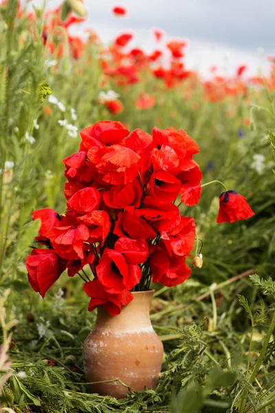 Nice bouquet of red poppy flowers — Stock Photo, Image