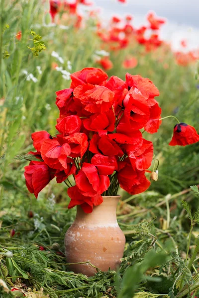 Joli bouquet de fleurs de pavot rouge — Photo