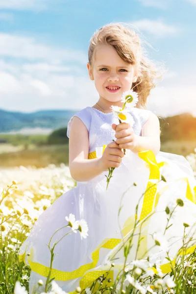Мила дівчинка на ромашковому полі — стокове фото