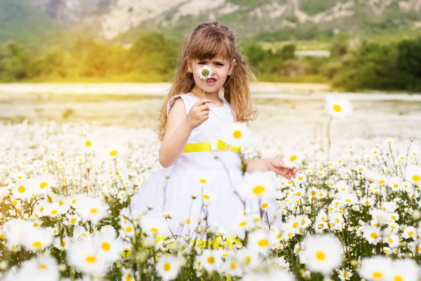 Cute child girl at camomile field — Stock Photo, Image