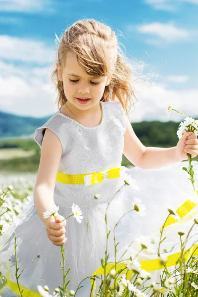 Cute child girl at camomile field — Stock Photo, Image