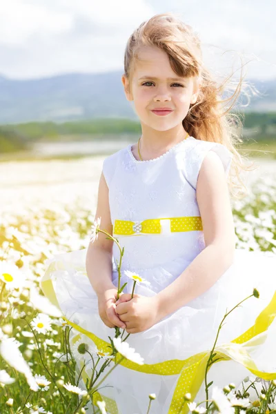 Roztomilé dítě dívka na Heřmánek field — Stock fotografie