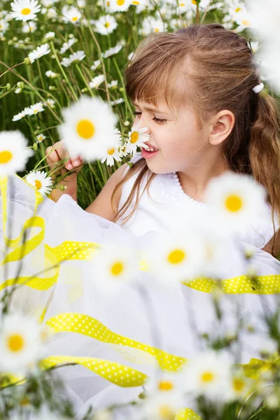 Cute child girl at camomile field — Stock Photo, Image
