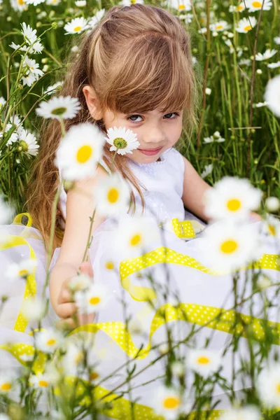 Roztomilé dítě dívka na Heřmánek field — Stock fotografie