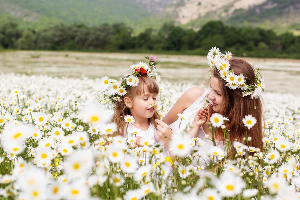 Mãe com seu filho brincando no campo de camomila — Fotografia de Stock