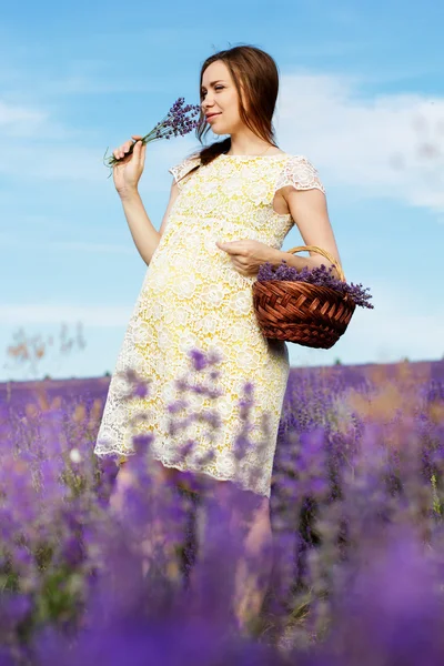 Vackra gravid kvinna i fältet lavendel — Stockfoto