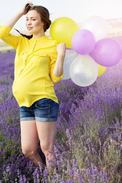 라벤더 밭에 아름 다운 임신한 여자 — 스톡 사진