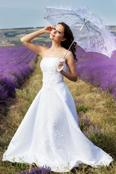 Hermosa novia posando en el campo de la lavanda — Foto de Stock