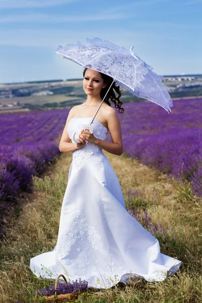 Hermosa novia posando en el campo de la lavanda — Foto de Stock