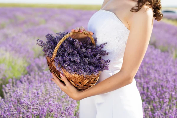 Bride holding basket with lavender flowers — Stock Photo, Image