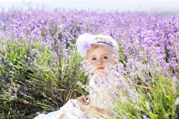 Beautiful little girl in lavender field — Stock Photo, Image