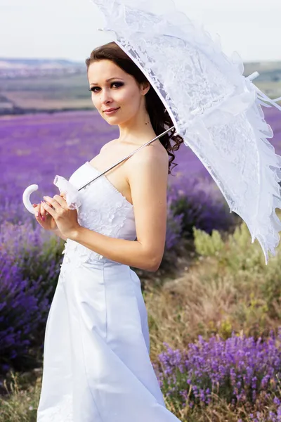 Hermosa novia posando en el campo de la lavanda — Foto de Stock