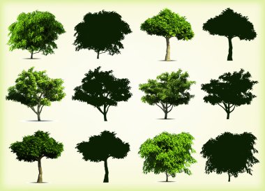 Collection green trees. Vector illustration