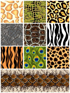 Set seamless patterns animals. Vector vector