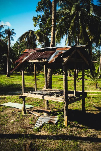 Hut  in the jungle with palm trees