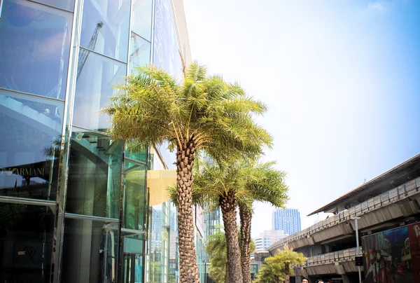 Palm Trees and Office Building Horizontal. Bangkok, Thailand