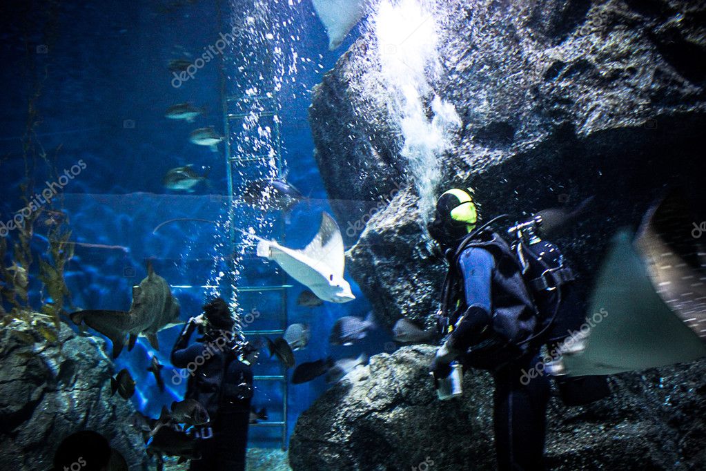 THAILAND BANGHOK 2013 MARCH 29 scuba divers enjoy dive in bangkok
