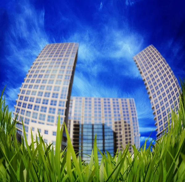 Grass and skyscrapers — Stock Photo, Image