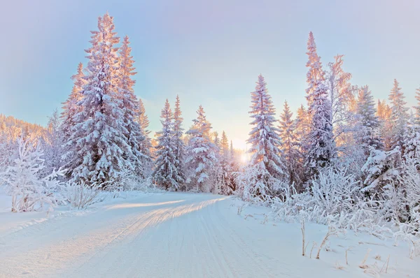 Paesaggio invernale — Foto Stock