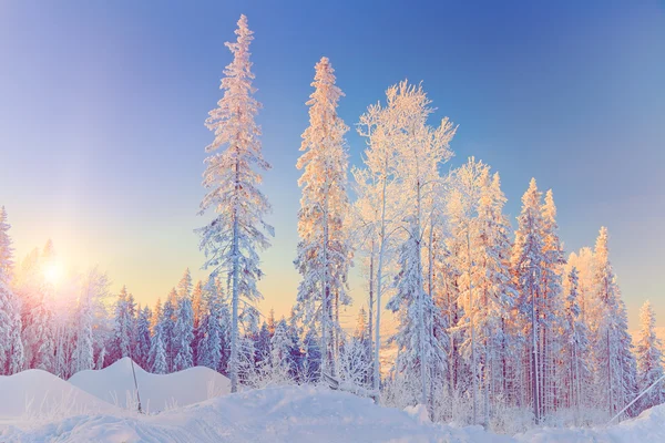 Paesaggio invernale — Foto Stock