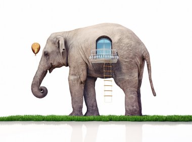 elephant as a house clipart
