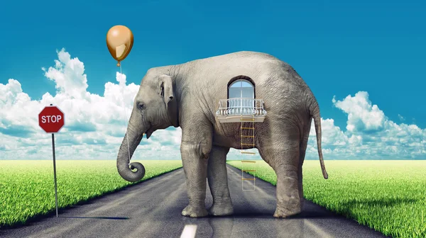Elefantenhaus auf der Straße — Stockfoto